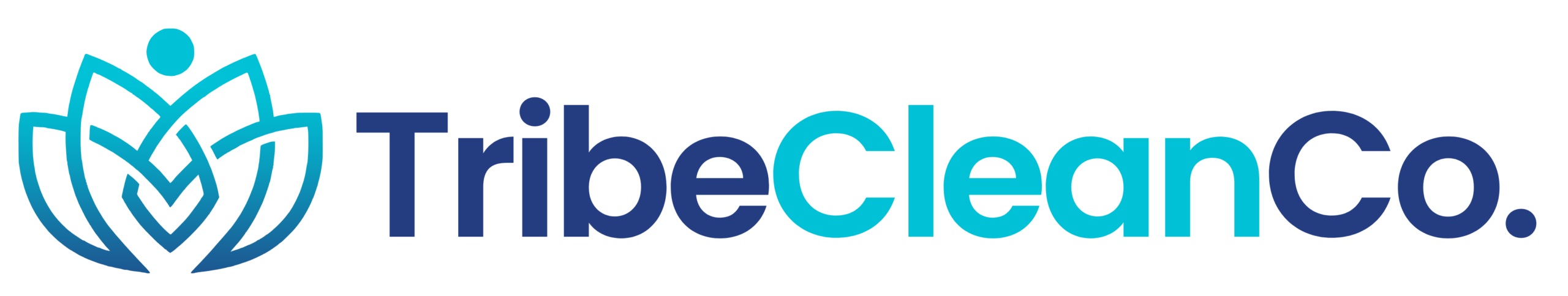 Tribe Clean Co 
